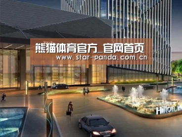 案例展示二